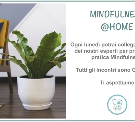 mindfulness @ home, mindfulness, online, evento gratuito, webinar